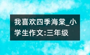 我喜歡四季海棠_小學(xué)生作文:三年級(jí)