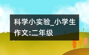 科學(xué)小實(shí)驗(yàn)_小學(xué)生作文:二年級