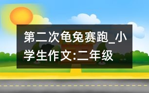 第二次龜兔賽跑_小學(xué)生作文:二年級