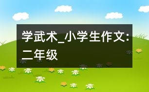 學武術(shù)_小學生作文:二年級