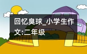 回憶臭球_小學(xué)生作文:二年級