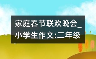 家庭春節(jié)聯(lián)歡晚會_小學(xué)生作文:二年級