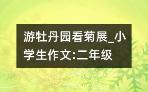 游牡丹園看菊展_小學生作文:二年級