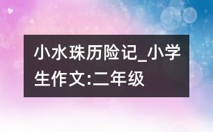 小水珠歷險(xiǎn)記_小學(xué)生作文:二年級