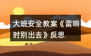 大班安全教案《雷響時別出去》反思