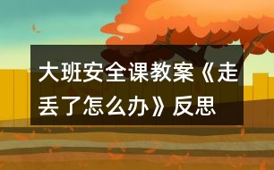 大班安全課教案《走丟了怎么辦》反思