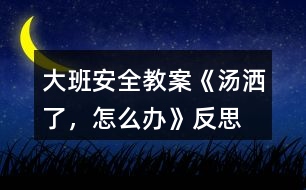 大班安全教案《湯灑了，怎么辦》反思