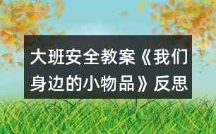 大班安全教案《我們身邊的小物品》反思