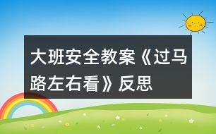 大班安全教案《過(guò)馬路左右看》反思