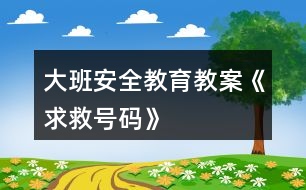 大班安全教育教案《求救號碼》