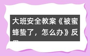 大班安全教案《被蜜蜂蟄了，怎么辦》反思