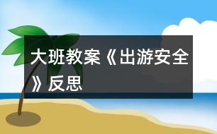 大班教案《出游安全》反思