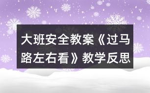 大班安全教案《過(guò)馬路左右看》教學(xué)反思