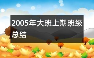 2005年大班上期班級總結(jié)