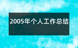 2005年個人工作總結(jié)