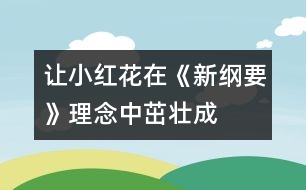 讓“小紅花”在《新綱要》理念中茁壯成長(zhǎng)