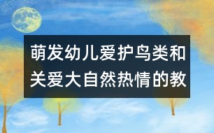 萌發(fā)幼兒愛護鳥類和關(guān)愛大自然熱情的教案