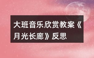 大班音樂欣賞教案《月光長廊》反思