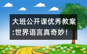 大班公開課優(yōu)秀教案:世界語言真奇妙！