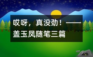 “哎呀，真沒勁！”――蓋玉鳳隨筆三篇