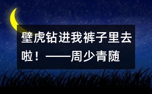 “壁虎”鉆進我褲子里去啦！――周少青隨筆兩篇