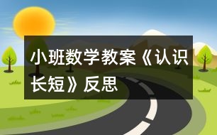 小班數(shù)學(xué)教案《認(rèn)識長短》反思