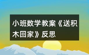 小班數(shù)學(xué)教案《送積木回家》反思