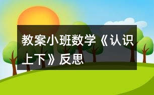 教案小班數學《認識上下》反思