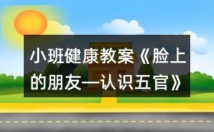 小班健康教案《臉上的朋友―認(rèn)識(shí)五官》反思