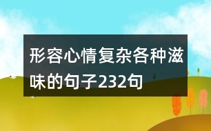 形容心情復雜各種滋味的句子232句