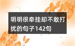 明明很牽掛卻不敢打擾的句子142句