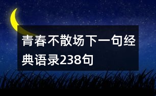 青春不散場下一句經(jīng)典語錄238句