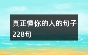 真正懂你的人的句子228句