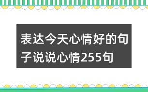 表達(dá)今天心情好的句子說說心情255句