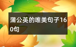 蒲公英的唯美句子160句