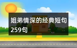 姐弟情深的經(jīng)典短句259句