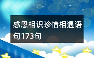 感恩相識珍惜相遇語句173句