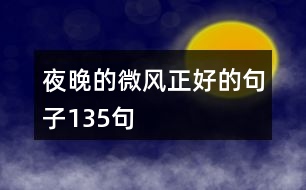 夜晚的微風正好的句子135句