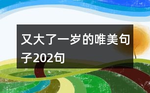 又大了一歲的唯美句子202句