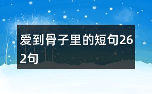 愛(ài)到骨子里的短句262句