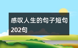 感嘆人生的句子短句202句