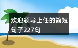 歡迎領導上任的簡短句子227句