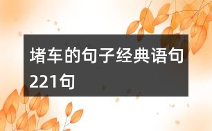 堵車的句子經(jīng)典語句221句