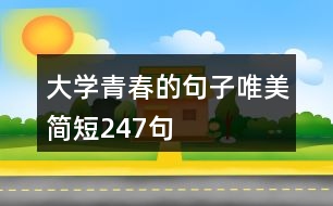 大學(xué)青春的句子唯美簡短247句