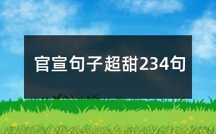 官宣句子超甜234句