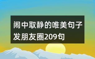 鬧中取靜的唯美句子,發(fā)朋友圈209句