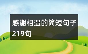 感謝相遇的簡(jiǎn)短句子219句