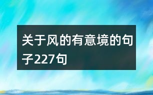 關于風的有意境的句子227句