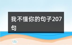 我不懂你的句子207句