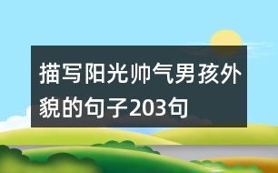 描寫陽(yáng)光帥氣男孩外貌的句子203句